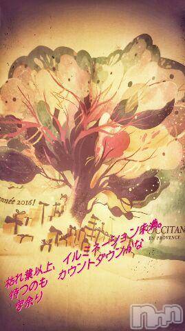 上越デリヘル上越風俗出張アロママッサージ(ジョウエツフウゾクシュッチョウアロママッサージ)さくら☆(36)の2015年11月16日写メブログ「並木を　あるーく」