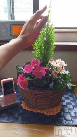 上越デリヘル上越風俗出張アロママッサージ(ジョウエツフウゾクシュッチョウアロママッサージ)さくら☆(36)の2015年11月20日写メブログ「先っちょが　可愛いの～！」