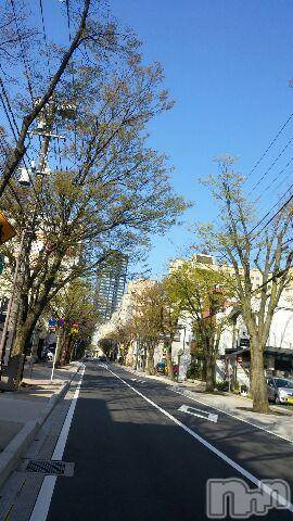 上越デリヘル上越風俗出張アロママッサージ(ジョウエツフウゾクシュッチョウアロママッサージ)さくら☆(36)の2017年4月25日写メブログ「けやき通り　ナウ」