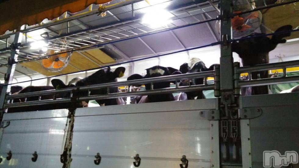 上越デリヘル上越風俗出張アロママッサージ(ジョウエツフウゾクシュッチョウアロママッサージ)さくら☆(36)の2018年5月26日写メブログ「下から見上げる☆　Part  2」