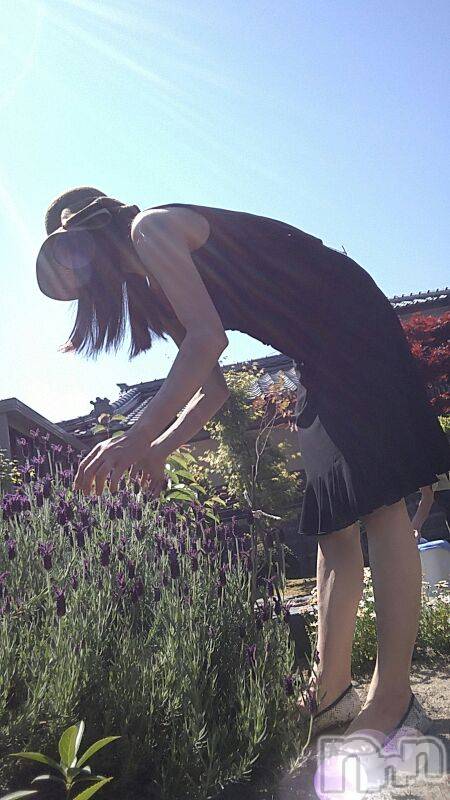 上越デリヘル上越風俗出張アロママッサージ(ジョウエツフウゾクシュッチョウアロママッサージ)さくら☆(36)の2019年5月25日写メブログ「いっぱいに咲きました❗」