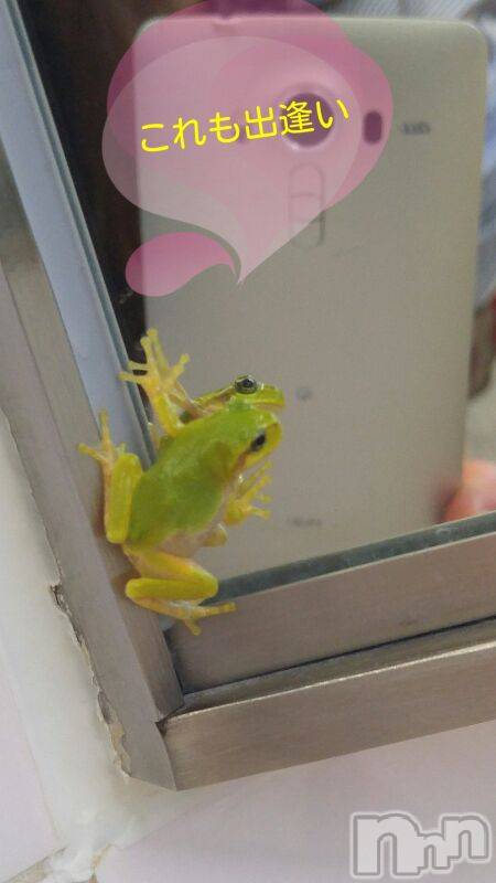 上越デリヘル上越風俗出張アロママッサージ(ジョウエツフウゾクシュッチョウアロママッサージ)さくら☆(36)の2019年7月29日写メブログ「西会津パーキングにて」