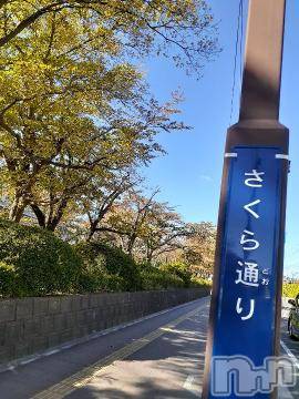 上越デリヘル上越風俗出張アロママッサージ(ジョウエツフウゾクシュッチョウアロママッサージ)さくら☆(36)の2019年11月2日写メブログ「一時間ロスは　悔しい」