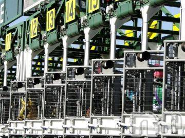 上越デリヘル上越風俗出張アロママッサージ(ジョウエツフウゾクシュッチョウアロママッサージ)さくら☆(36)の2019年12月19日写メブログ「今夜、有馬記念フェスティバル」