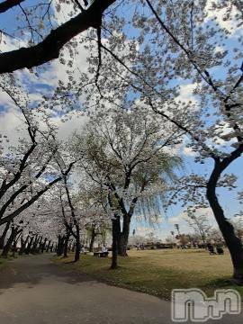 上越デリヘル上越風俗出張アロママッサージ(ジョウエツフウゾクシュッチョウアロママッサージ)さくら☆(36)の2020年4月9日写メブログ「理屈ぬきに」