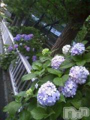 上越デリヘル上越風俗出張アロママッサージ(ジョウエツフウゾクシュッチョウアロママッサージ) さくら☆(36)の7月10日写メブログ「Ｙ様」