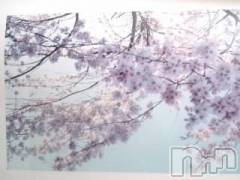 上越デリヘル上越風俗出張アロママッサージ(ジョウエツフウゾクシュッチョウアロママッサージ) さくら☆(36)の11月2日写メブログ「南半球」