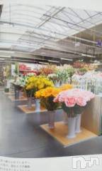 上越デリヘル上越風俗出張アロママッサージ(ジョウエツフウゾクシュッチョウアロママッサージ) さくら☆(36)の1月27日写メブログ「エリーゼ」