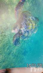 上越デリヘル上越風俗出張アロママッサージ(ジョウエツフウゾクシュッチョウアロママッサージ) さくら☆(36)の1月29日写メブログ「Ｒｅｆrｅｓｈ☆！」