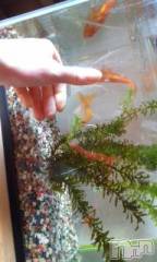 上越デリヘル上越風俗出張アロママッサージ(ジョウエツフウゾクシュッチョウアロママッサージ) さくら☆(36)の3月9日写メブログ「明日へのマーチ March 11」