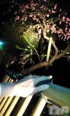 上越デリヘル上越風俗出張アロママッサージ(ジョウエツフウゾクシュッチョウアロママッサージ) さくら☆(36)の4月8日写メブログ「では 明日」