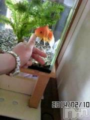 上越デリヘル上越風俗出張アロママッサージ(ジョウエツフウゾクシュッチョウアロママッサージ) さくら☆(36)の5月1日写メブログ「皐月のさくら」