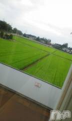 上越デリヘル上越風俗出張アロママッサージ(ジョウエツフウゾクシュッチョウアロママッサージ) さくら☆(36)の7月18日写メブログ「リトル・パパラッチ〓」