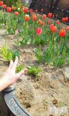 上越デリヘル上越風俗出張アロママッサージ(ジョウエツフウゾクシュッチョウアロママッサージ) さくら☆(36)の4月16日写メブログ「季節の花っていとおしい」