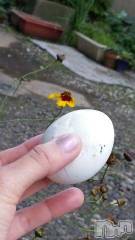 上越デリヘル上越風俗出張アロママッサージ(ジョウエツフウゾクシュッチョウアロママッサージ) さくら☆(36)の7月25日写メブログ「卵は(￣▽￣;)頭で　割ろう」