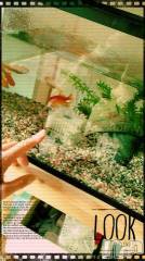 上越デリヘル上越風俗出張アロママッサージ(ジョウエツフウゾクシュッチョウアロママッサージ) さくら☆(36)の4月27日写メブログ「パワー放出」