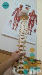 上越デリヘル上越風俗出張アロママッサージ(ジョウエツフウゾクシュッチョウアロママッサージ) さくら☆(36)の9月25日写メブログ「共同作業」