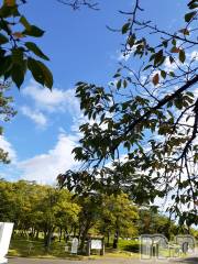 上越デリヘル上越風俗出張アロママッサージ(ジョウエツフウゾクシュッチョウアロママッサージ) さくら☆(36)の9月24日写メブログ「台風一過　～郡山～」