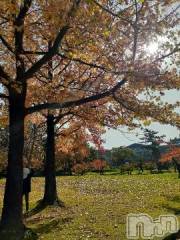 上越デリヘル上越風俗出張アロママッサージ(ジョウエツフウゾクシュッチョウアロママッサージ) さくら☆(36)の11月1日写メブログ「11月～！」