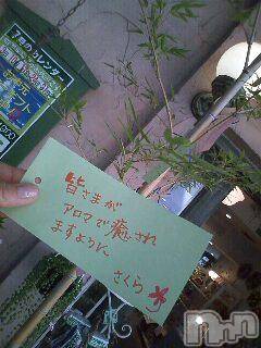 上越デリヘル 上越風俗出張アロママッサージ(ジョウエツフウゾクシュッチョウアロママッサージ) さくら☆(36)の7月2日写メブログ「星に願いを」