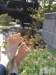 上越デリヘル 上越風俗出張アロママッサージ(ジョウエツフウゾクシュッチョウアロママッサージ) さくら☆(36)の9月23日写メブログ「光合成」