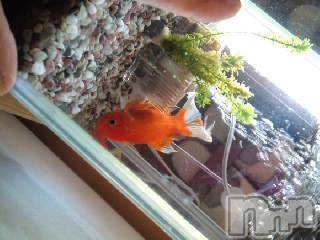 上越デリヘル 上越風俗出張アロママッサージ(ジョウエツフウゾクシュッチョウアロママッサージ) さくら☆(36)の9月24日写メブログ「T様」