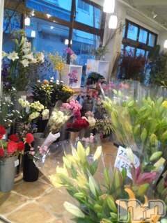 上越デリヘル 上越風俗出張アロママッサージ(ジョウエツフウゾクシュッチョウアロママッサージ) さくら☆(36)の9月24日写メブログ「世界でひとつだけの花」