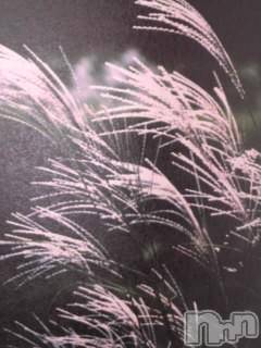 上越デリヘル 上越風俗出張アロママッサージ(ジョウエツフウゾクシュッチョウアロママッサージ) さくら☆(36)の9月25日写メブログ「ANA」