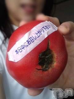 上越デリヘル 上越風俗出張アロママッサージ(ジョウエツフウゾクシュッチョウアロママッサージ) さくら☆(36)の10月17日写メブログ「ナマものですから」