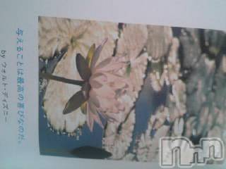 上越デリヘル 上越風俗出張アロママッサージ(ジョウエツフウゾクシュッチョウアロママッサージ) さくら☆(36)の11月8日写メブログ「英雄の 格言集より」