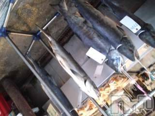 上越デリヘル 上越風俗出張アロママッサージ(ジョウエツフウゾクシュッチョウアロママッサージ) さくら☆(36)の12月23日写メブログ「清き一票」