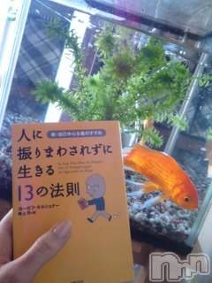 上越デリヘル 上越風俗出張アロママッサージ(ジョウエツフウゾクシュッチョウアロママッサージ) さくら☆(36)の12月24日写メブログ「シビアな課題」