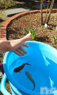 上越デリヘル 上越風俗出張アロママッサージ(ジョウエツフウゾクシュッチョウアロママッサージ) さくら☆(36)の4月1日写メブログ「エイプリル」