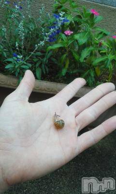 上越デリヘル 上越風俗出張アロママッサージ(ジョウエツフウゾクシュッチョウアロママッサージ) さくら☆(36)の11月2日写メブログ「お礼です。」