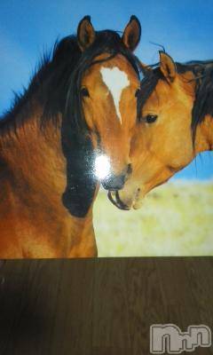 上越デリヘル 上越風俗出張アロママッサージ(ジョウエツフウゾクシュッチョウアロママッサージ) さくら☆(36)の2月15日写メブログ「祈：必勝」