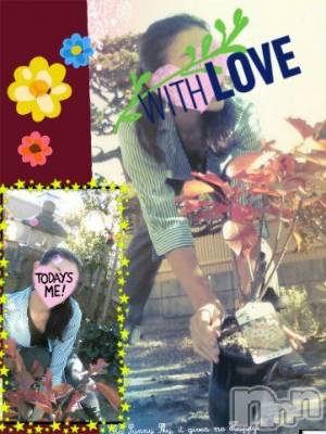 上越デリヘル 上越風俗出張アロママッサージ(ジョウエツフウゾクシュッチョウアロママッサージ) さくら☆(36)の11月2日写メブログ「コスモスはまた、別個( ´∀｀)！」