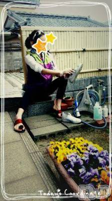 上越デリヘル 上越風俗出張アロママッサージ(ジョウエツフウゾクシュッチョウアロママッサージ) さくら☆(36)の4月6日写メブログ「白いスニーカーを洗う」