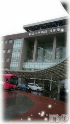 上越デリヘル 上越風俗出張アロママッサージ(ジョウエツフウゾクシュッチョウアロママッサージ) さくら☆(36)の1月10日写メブログ「意味深すぎる再会」