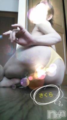 上越デリヘル 上越風俗出張アロママッサージ(ジョウエツフウゾクシュッチョウアロママッサージ) さくら☆(36)の3月23日写メブログ「どこまでが境界線❔」