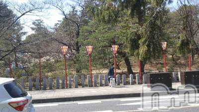 上越デリヘル 上越風俗出張アロママッサージ(ジョウエツフウゾクシュッチョウアロママッサージ) さくら☆(36)の3月20日写メブログ「ツボミ⭐見えるかな～？」