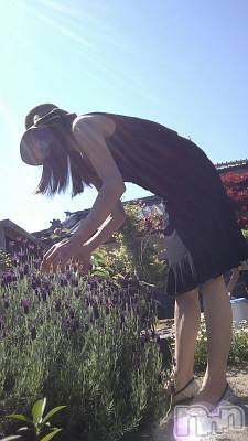 上越デリヘル 上越風俗出張アロママッサージ(ジョウエツフウゾクシュッチョウアロママッサージ) さくら☆(36)の5月25日写メブログ「いっぱいに咲きました❗」