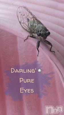 上越デリヘル 上越風俗出張アロママッサージ(ジョウエツフウゾクシュッチョウアロママッサージ) さくら☆(36)の6月5日写メブログ「無言の　チア」