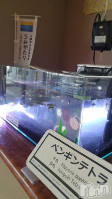 上越デリヘル 上越風俗出張アロママッサージ(ジョウエツフウゾクシュッチョウアロママッサージ) さくら☆(36)の9月3日写メブログ「恩人に会いに行く。」