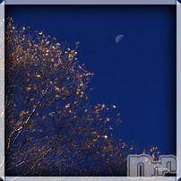 上越デリヘル 上越風俗出張アロママッサージ(ジョウエツフウゾクシュッチョウアロママッサージ) さくら☆(36)の10月7日写メブログ「夕べの半月を」