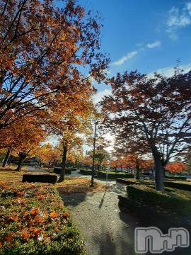 上越デリヘル 上越風俗出張アロママッサージ(ジョウエツフウゾクシュッチョウアロママッサージ) さくら☆(36)の11月19日写メブログ「長野　朝の公園」