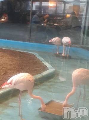 上越デリヘル 上越風俗出張アロママッサージ(ジョウエツフウゾクシュッチョウアロママッサージ) さくら☆(36)の2月13日写メブログ「『揺れかた』の表現」