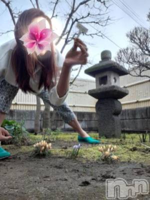 上越デリヘル 上越風俗出張アロママッサージ(ジョウエツフウゾクシュッチョウアロママッサージ) さくら☆(36)の3月5日写メブログ「こいつにも　名前があってね...」