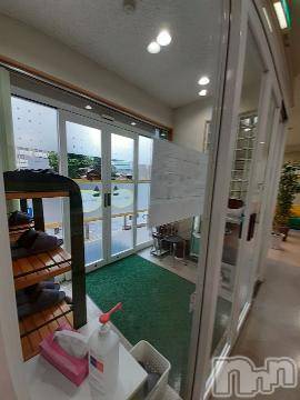 上越デリヘル 上越風俗出張アロママッサージ(ジョウエツフウゾクシュッチョウアロママッサージ) さくら☆(36)の3月11日写メブログ「閉院　～突然過ぎるよ～」