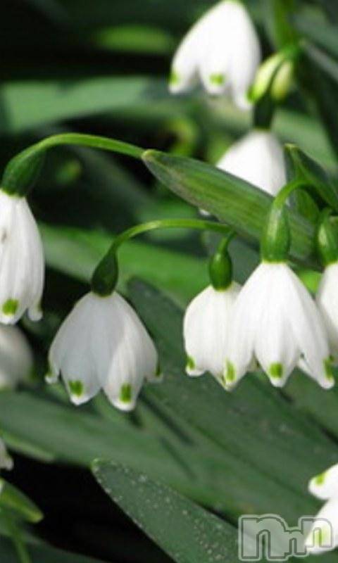 上越デリヘル上越風俗出張アロママッサージ(ジョウエツフウゾクシュッチョウアロママッサージ) える☆(40)の3月31日写メブログ「★★える★★」