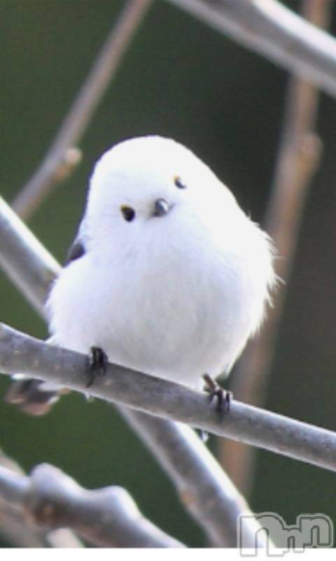 上越デリヘル上越風俗出張アロママッサージ(ジョウエツフウゾクシュッチョウアロママッサージ) える☆(40)の6月1日写メブログ「★える★」